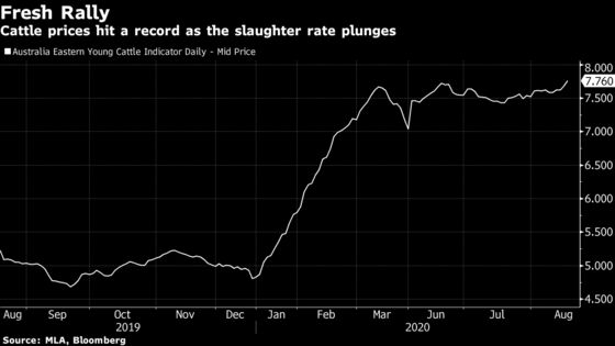 Cattle Prices Surge to Record in Australia as Supply Tightens