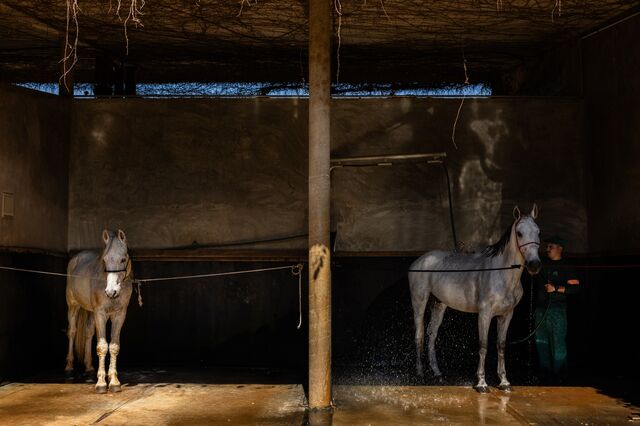 A worker cleans a stable with two horses at the equestrian center at the Boa Vista Village.