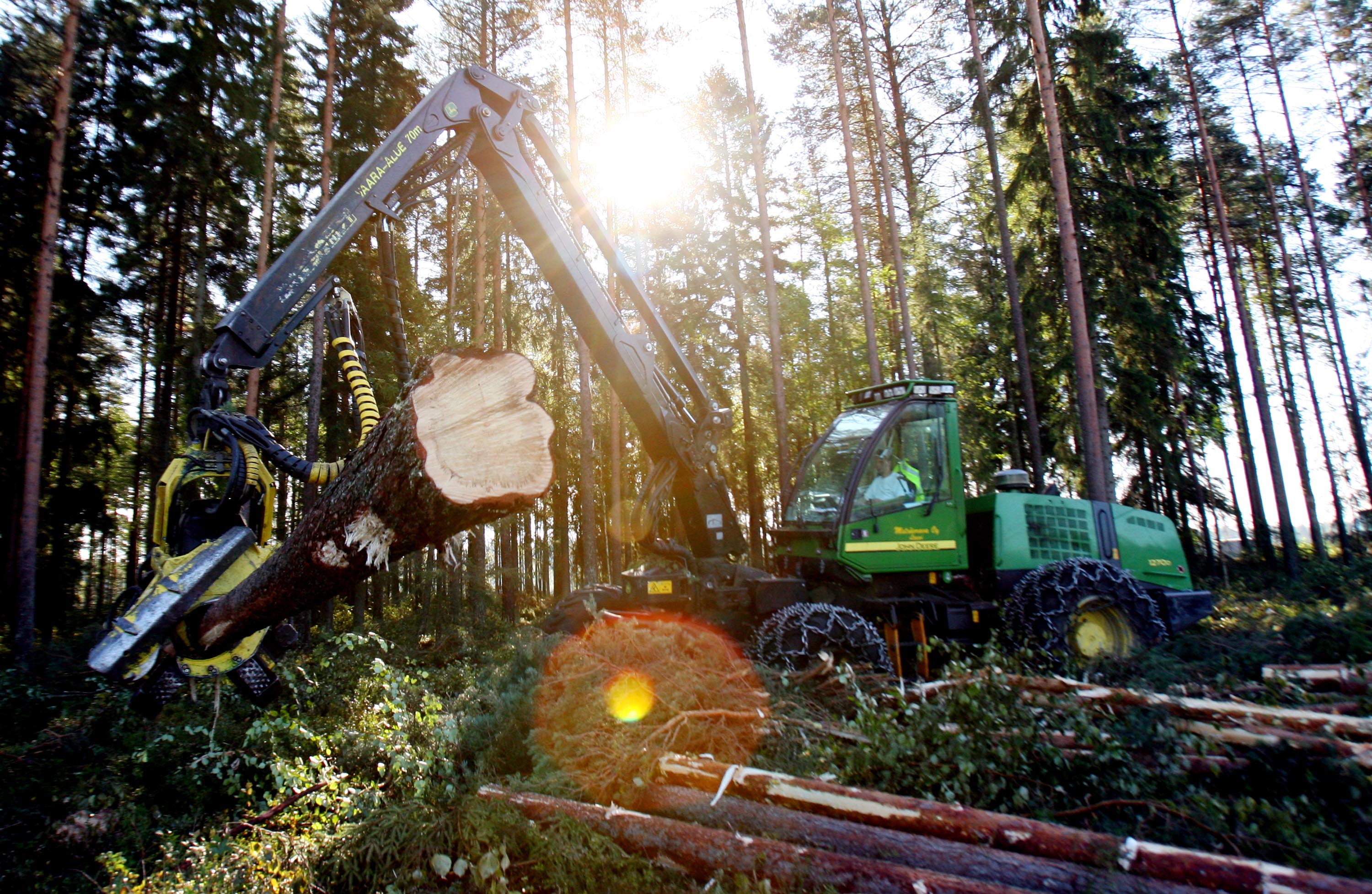 Gender Pay Gap Finland's UPMKymmene Pledges to Correct Gender Wage