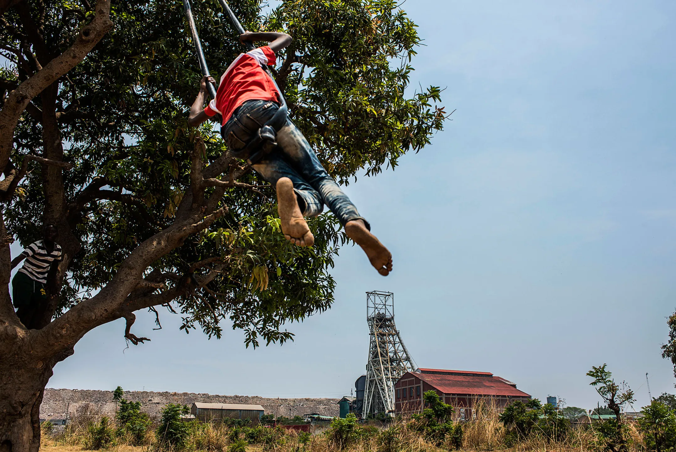 A child swings in a tree near a Glencore Zambian copper mine.
