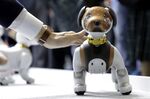 Inside the CEATEC Consumer Electronics Show