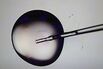 IVF At Brigham & Women's Hospital