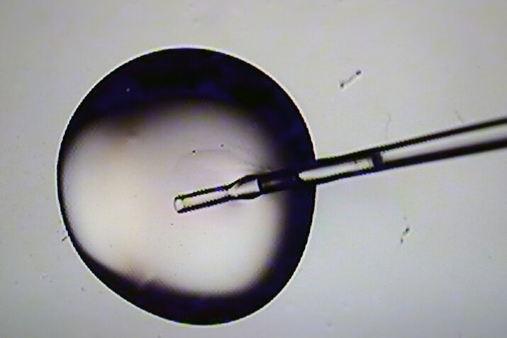 IVF At Brigham & Women's Hospital