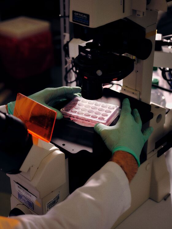 Merck’s Little Brown Pill Could Transform the Fight Against Covid