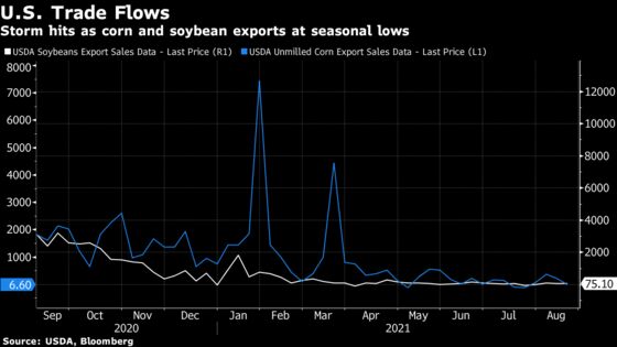 Corn, Soy Fall as Ida Hinders Exports, Boosting U.S. Supply