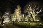Visitors walk past illuminated trees ahead of Christmas at the Tokyo Midtown complex in Tokyo, Japan, on Wednesday, Dec. 16, 2020.