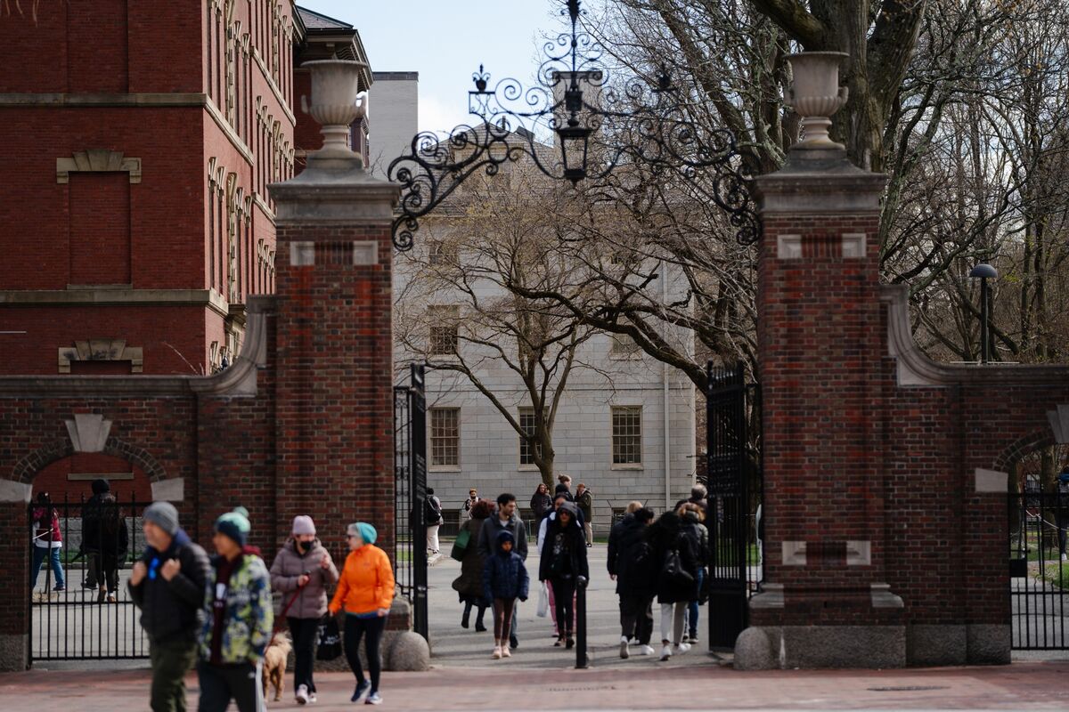 🟪"Harvard: Continua l'iscrizione per studenti internazionali, ma la situazione è in evoluzione"