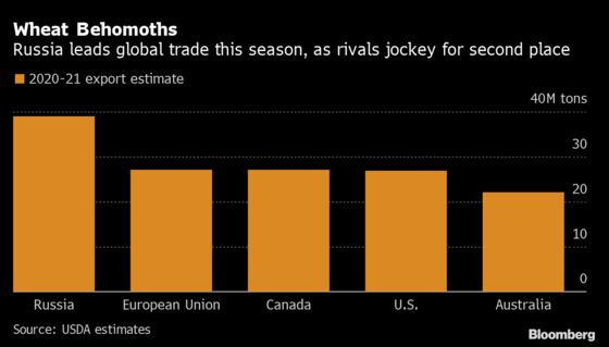 Russia Faces Wheat Trade Disruption Caused by Complex Export Tax