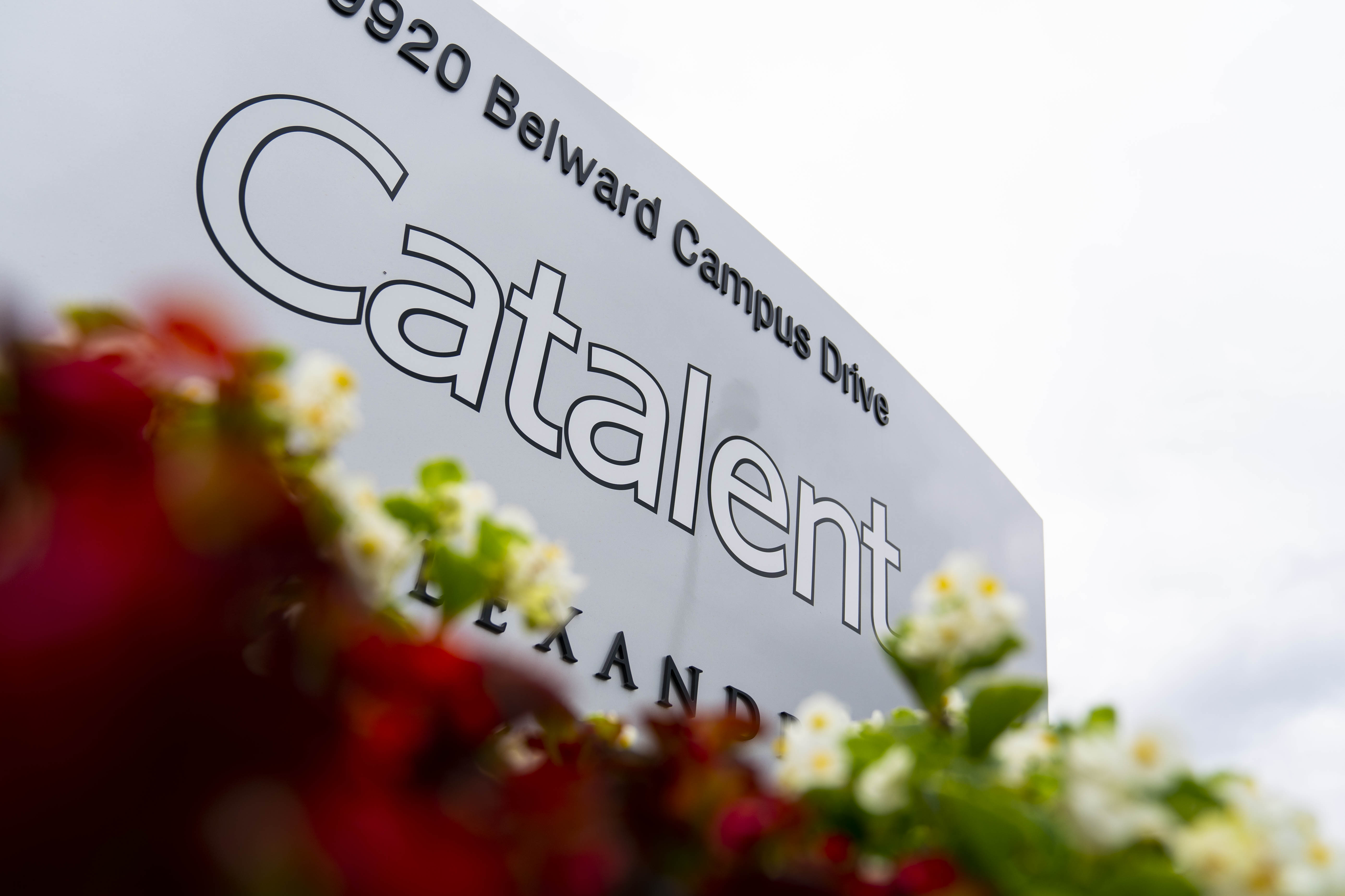 Catalent Price Soars (CTLT) as Investors Reassured on Cut Annual