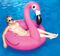 flamingo-vert
