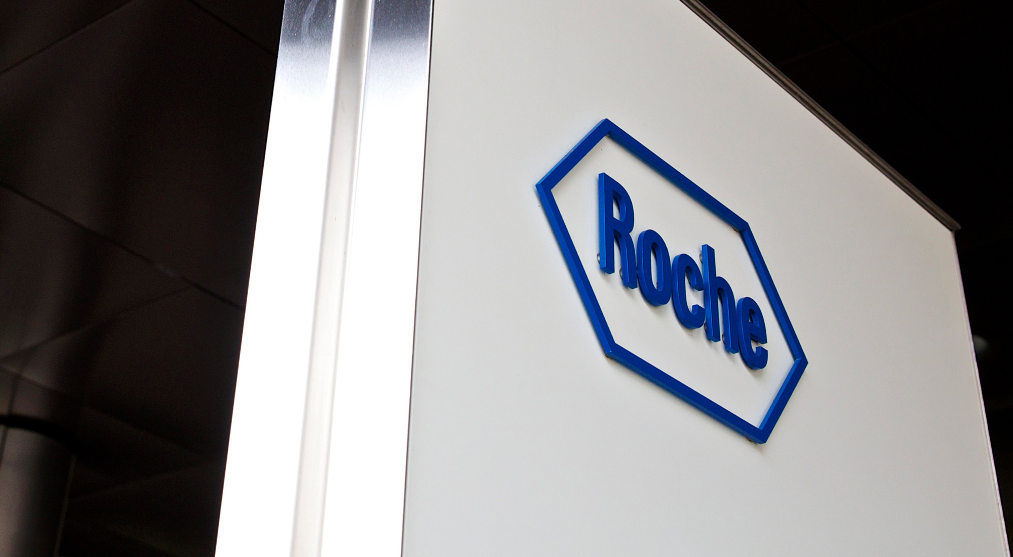 Roche holding