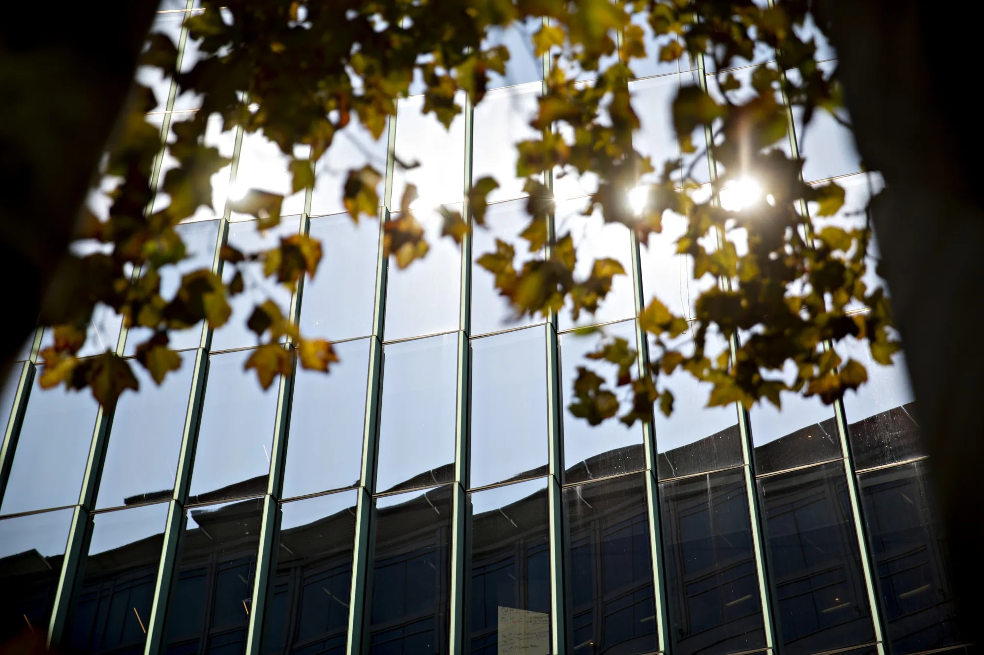 Fannie Mae Headquarters As Fannie, Freddie Allowed To Boost Capital Buffers By Billions