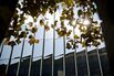 Fannie Mae Headquarters As Fannie, Freddie Allowed To Boost Capital Buffers By Billions