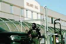 Deportation Inc Homepage Delaney Hall 