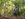 Tough Road to Recovery For West African Cocoa Farmers