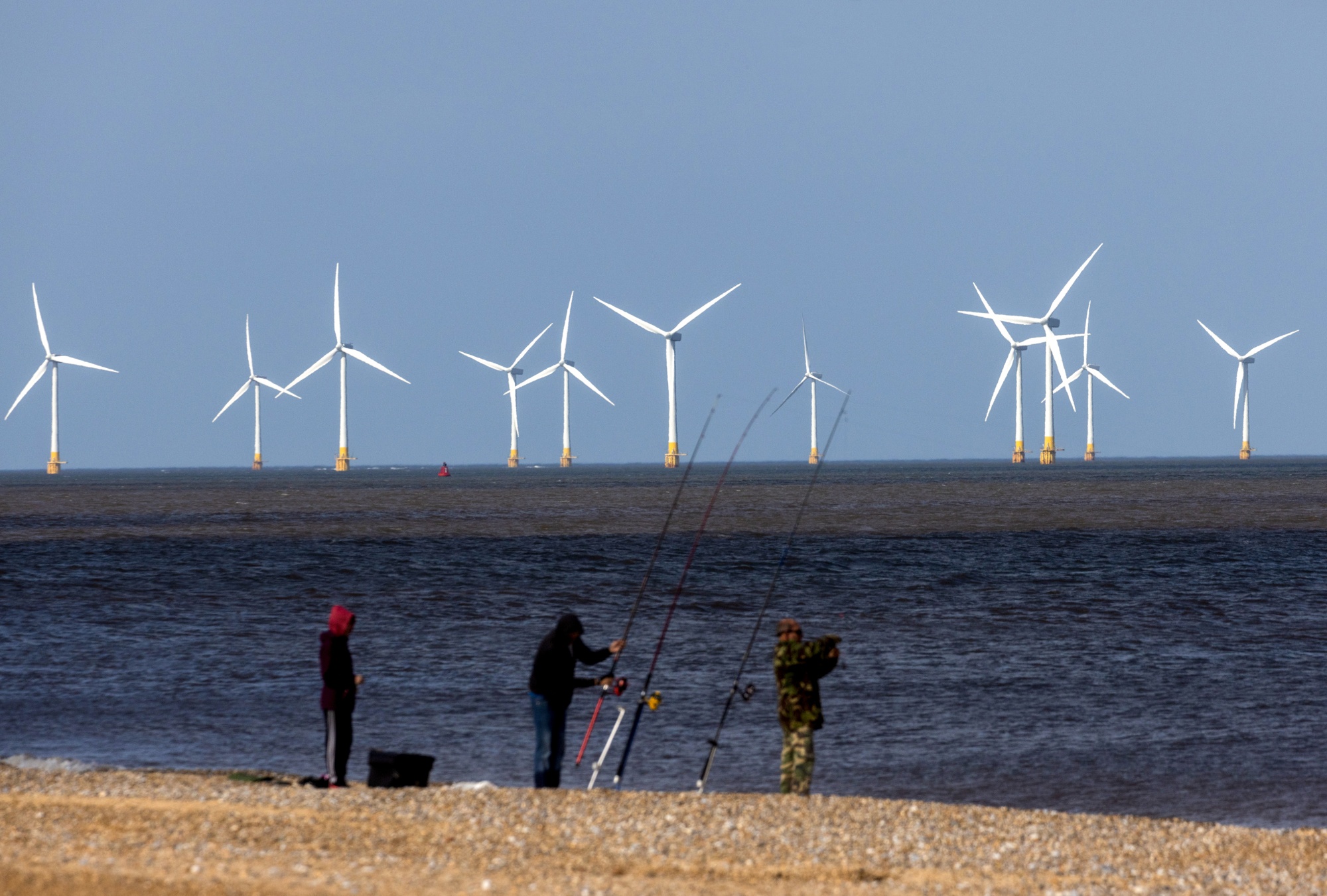 Do Wind Turbines Kill Birds? Less Dangerous in UK Than Expected Bloomberg