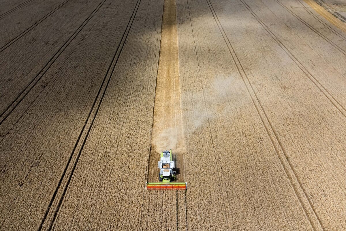 
                            France Seeks Delay to EU Vote on Mercosur as Conditions Not Met