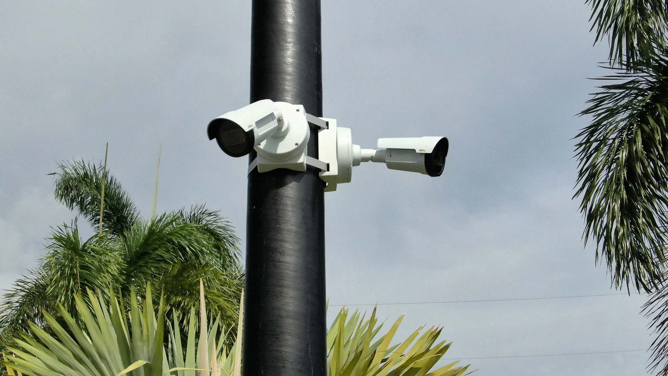 Rekor surveillance cameras come with vehicle recognition software.