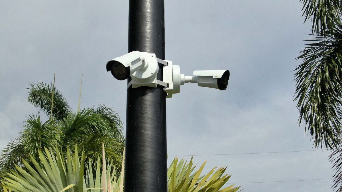 License Plate Scanners for Police Are Cheaper, More Available