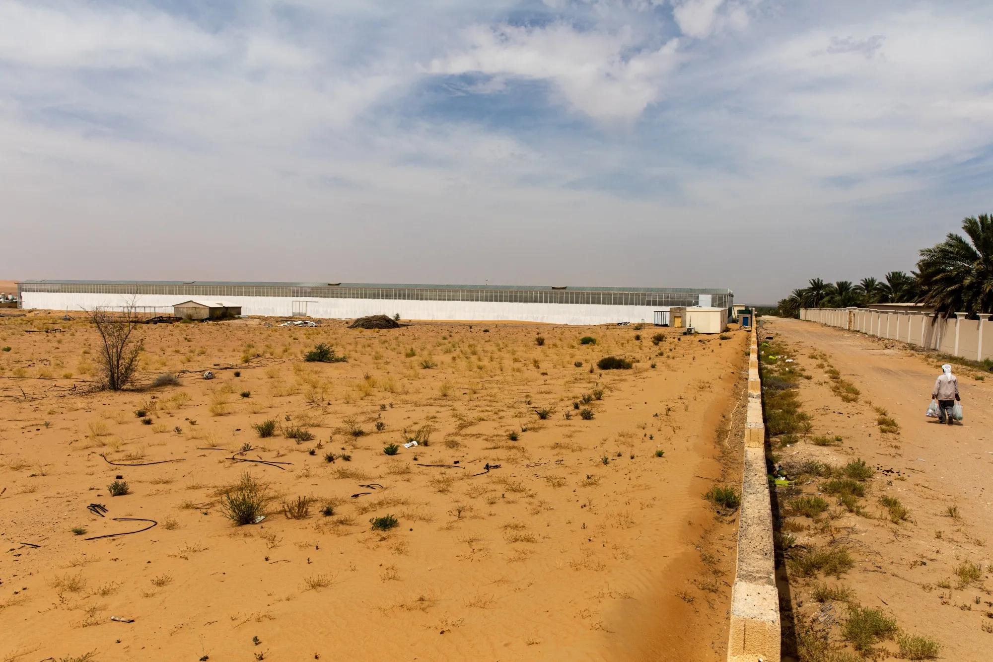 A man walks past smart greenhouses used for growing food at Pure Harvest Smart Farms in Nahil, United Arab Emirates, another Gulf country that's pushing to grow more of its food..