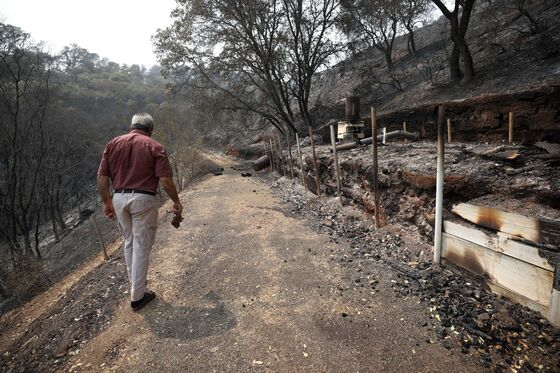 California’s Wildfires Came at the Worst Time for Wine Industry