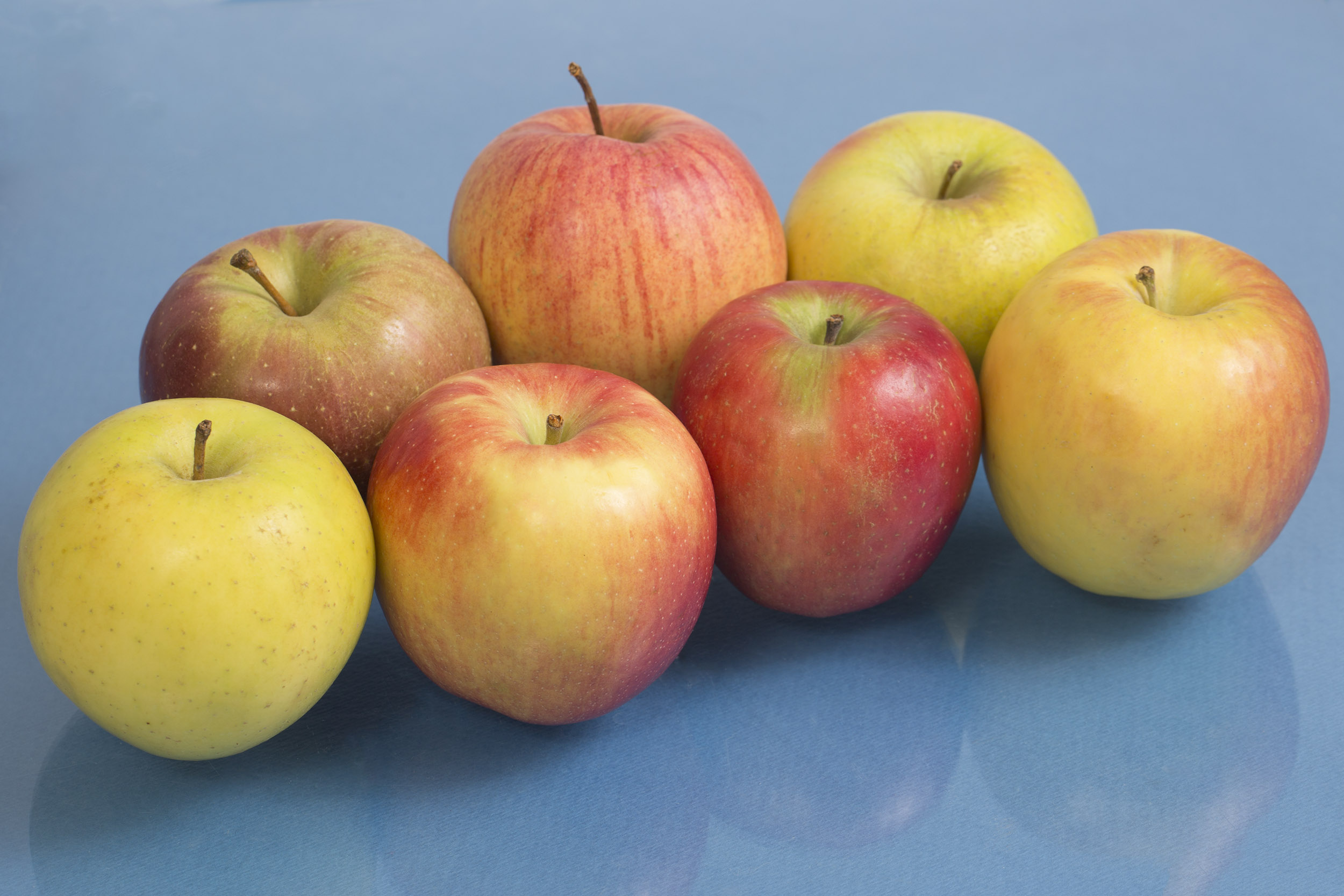 Solving the Honeycrisp apple ancestry mystery