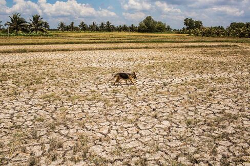 1467084054_vietnam drought
