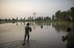 A farmhand wades through a rice field that has been flooded in the Karnal district of Haryana, on June 26.