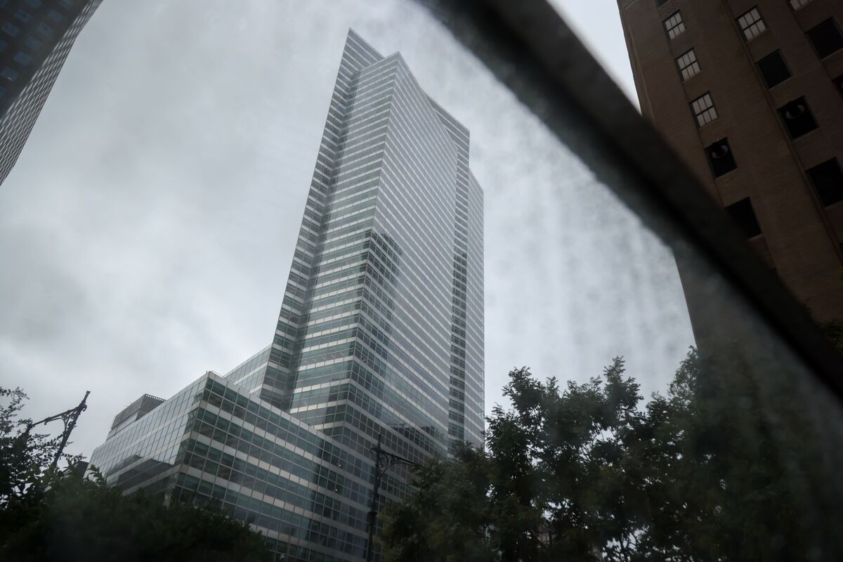 Goldman Is Pitching a Risky $500 Million Deal to Finance Shareholder Payout