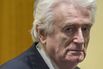 NETHERLANDS-BOSNIA-WARCRIMES-KARADZIC