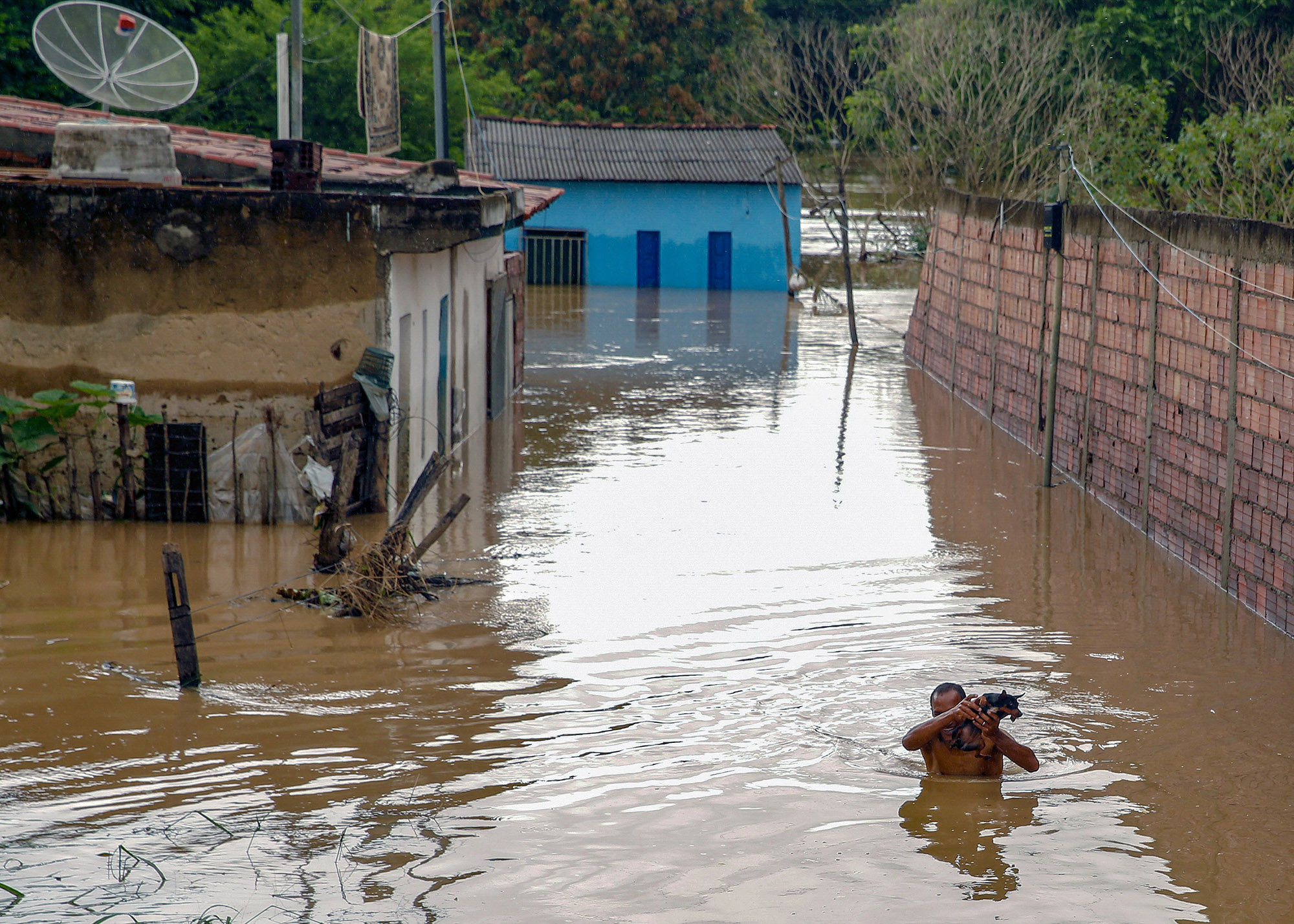 ブラジルの洪水で最古の恐竜の骨格が見つかる