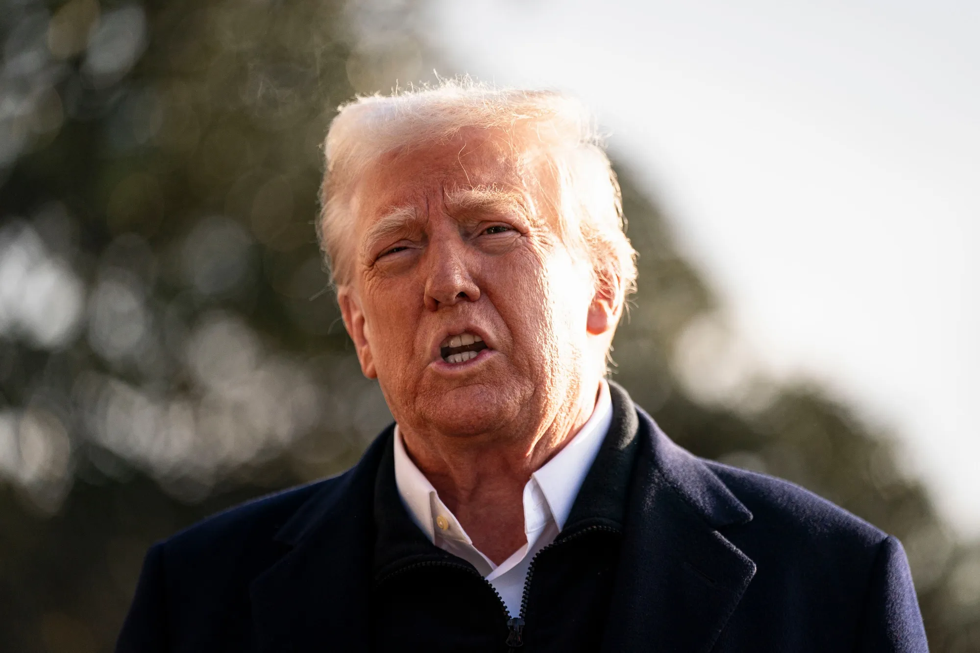 President Donald Trump speaks to members of the media on the South Lawn on Friday.