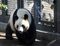 Giant Pandas Opened To Public At Ueno Zoo