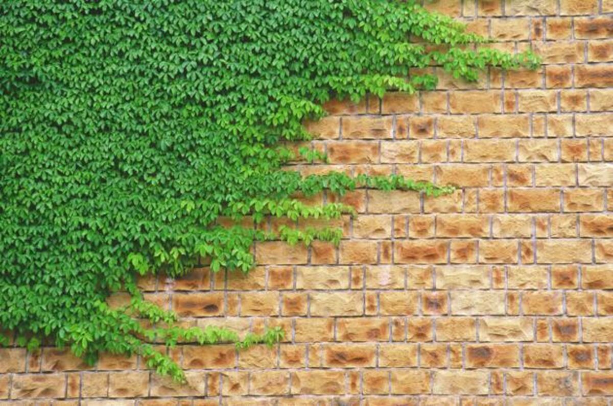 Best Colleges for Return on Investment Bloomberg