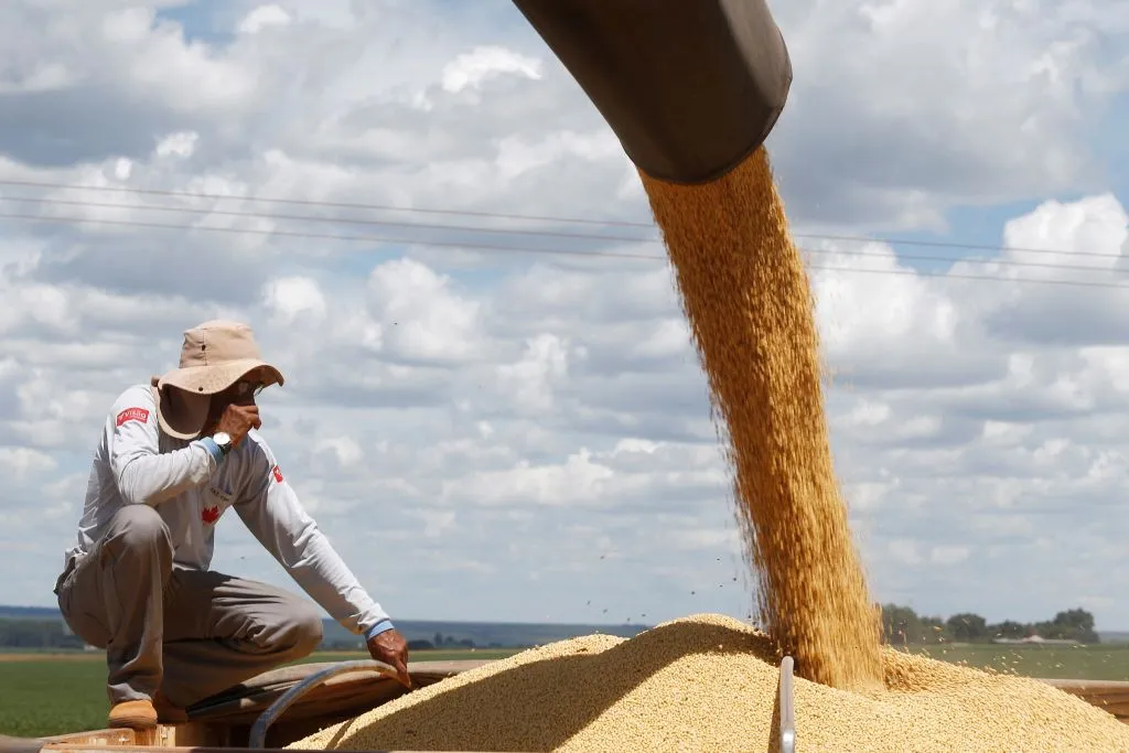 Soybeans are harvested near Brasilia.
