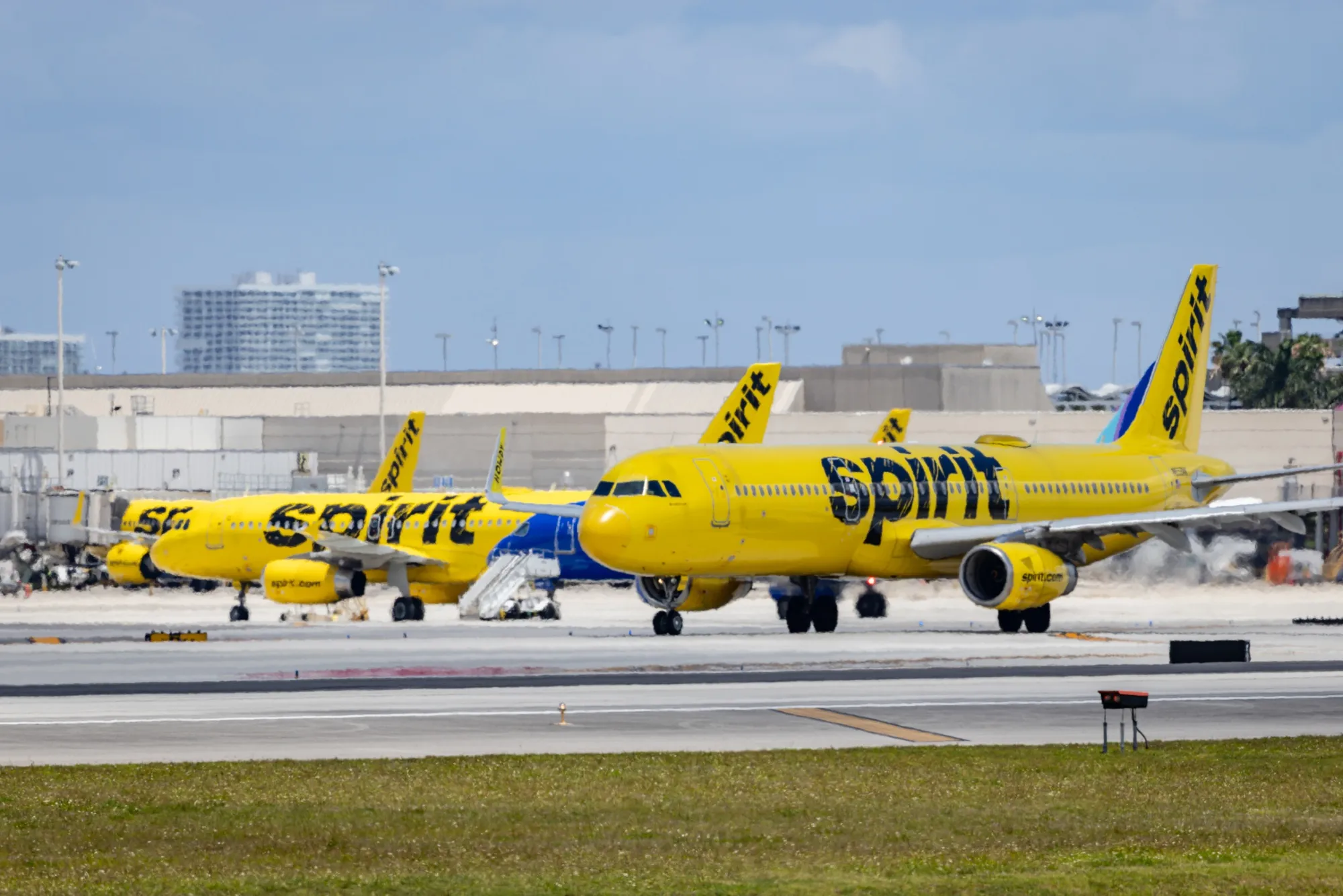 Spirit Airlines airplanes at Fort Lauderdale-Hollywood International Airport.