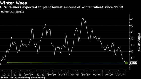 U.S. Winter-Wheat Acres Set to Drop to Lowest in 110 Years