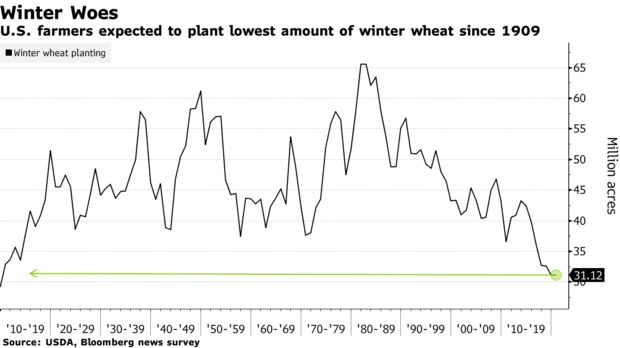 U.S. farmers expected to plant lowest amount of winter wheat since 1909