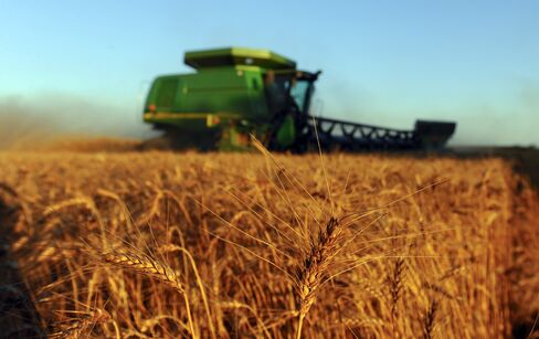 Kansas Draws Record 100 to Measure Wheat in World’s Top Exporter