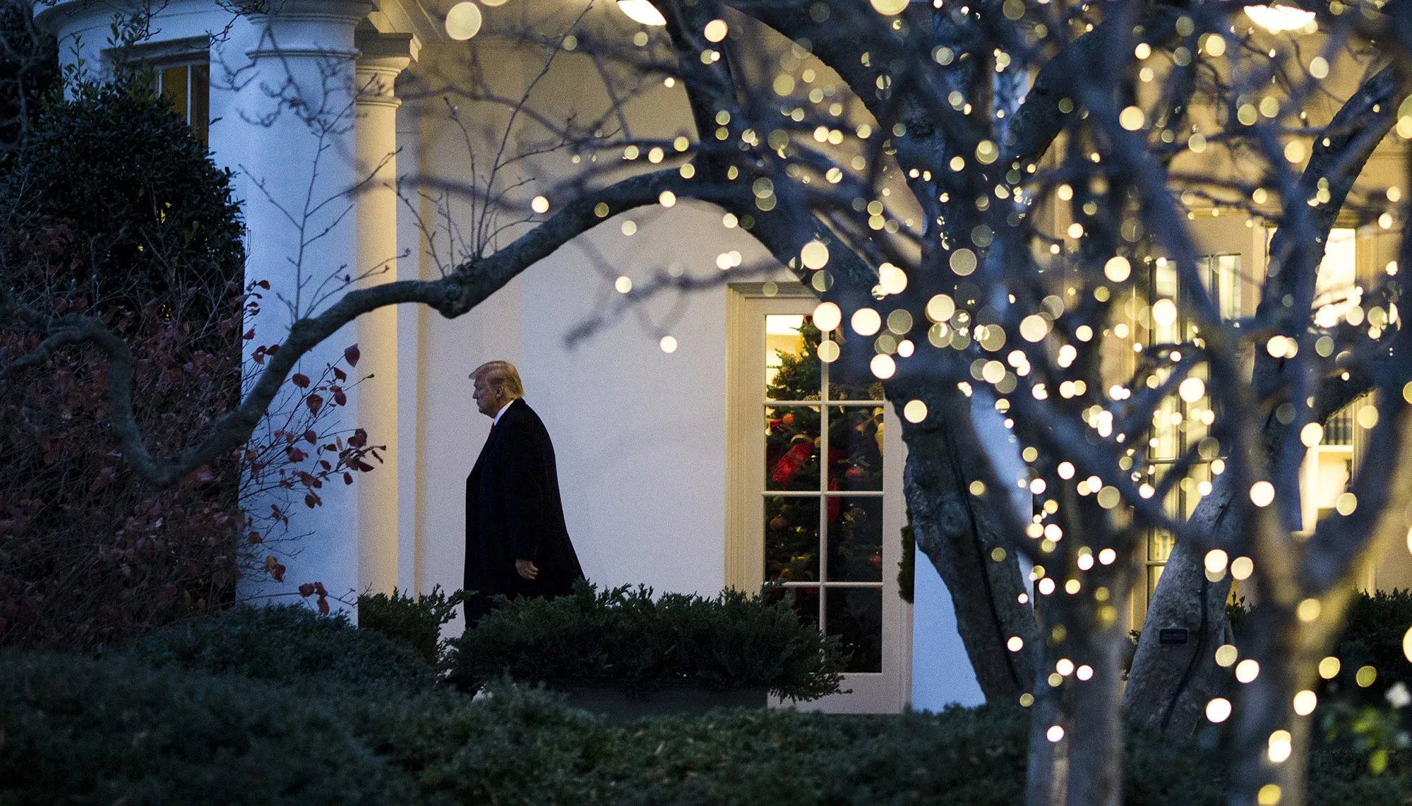 Donald Trump at the White House in Washington, D.C.