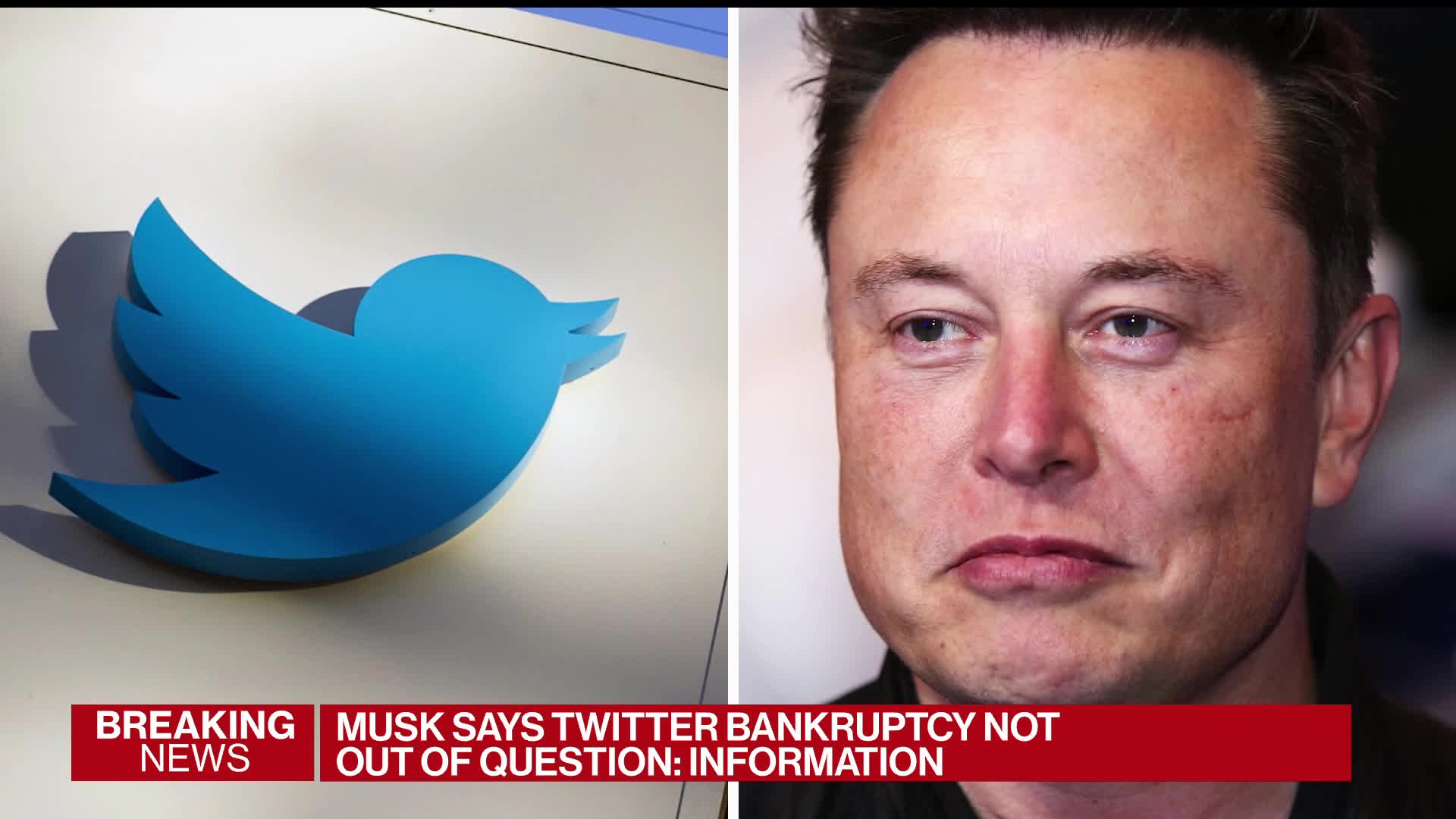 Elon Musk Shuts Down Twitter Blue Users Impersonating Nintendo and
