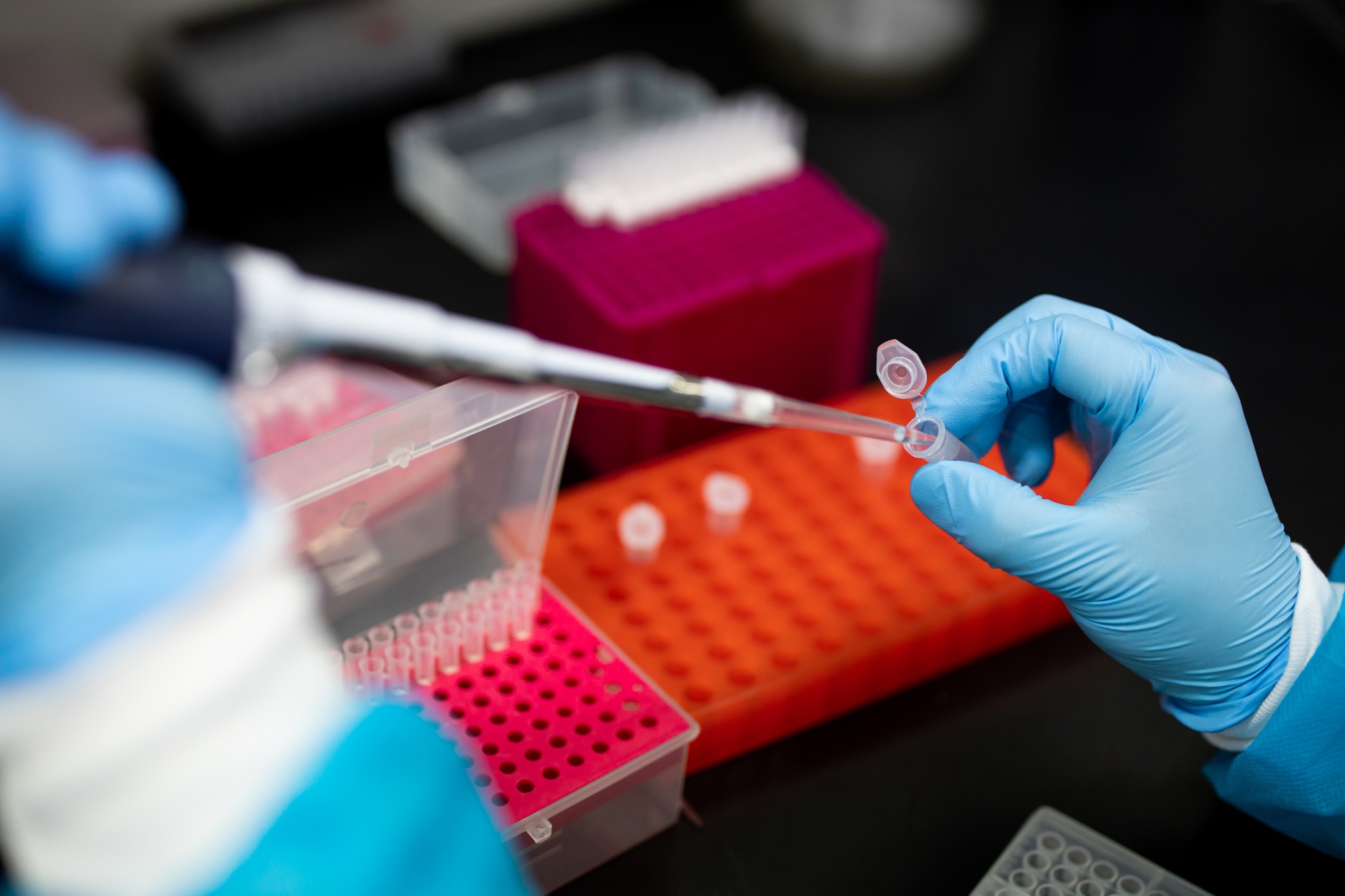 Coronavirus Virus Kit Maker Osang Says It Can Ship 100 Million Tests to U.S.