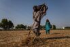 Islamic Insurance Lures Muslim Farmers Battling Climate Change
