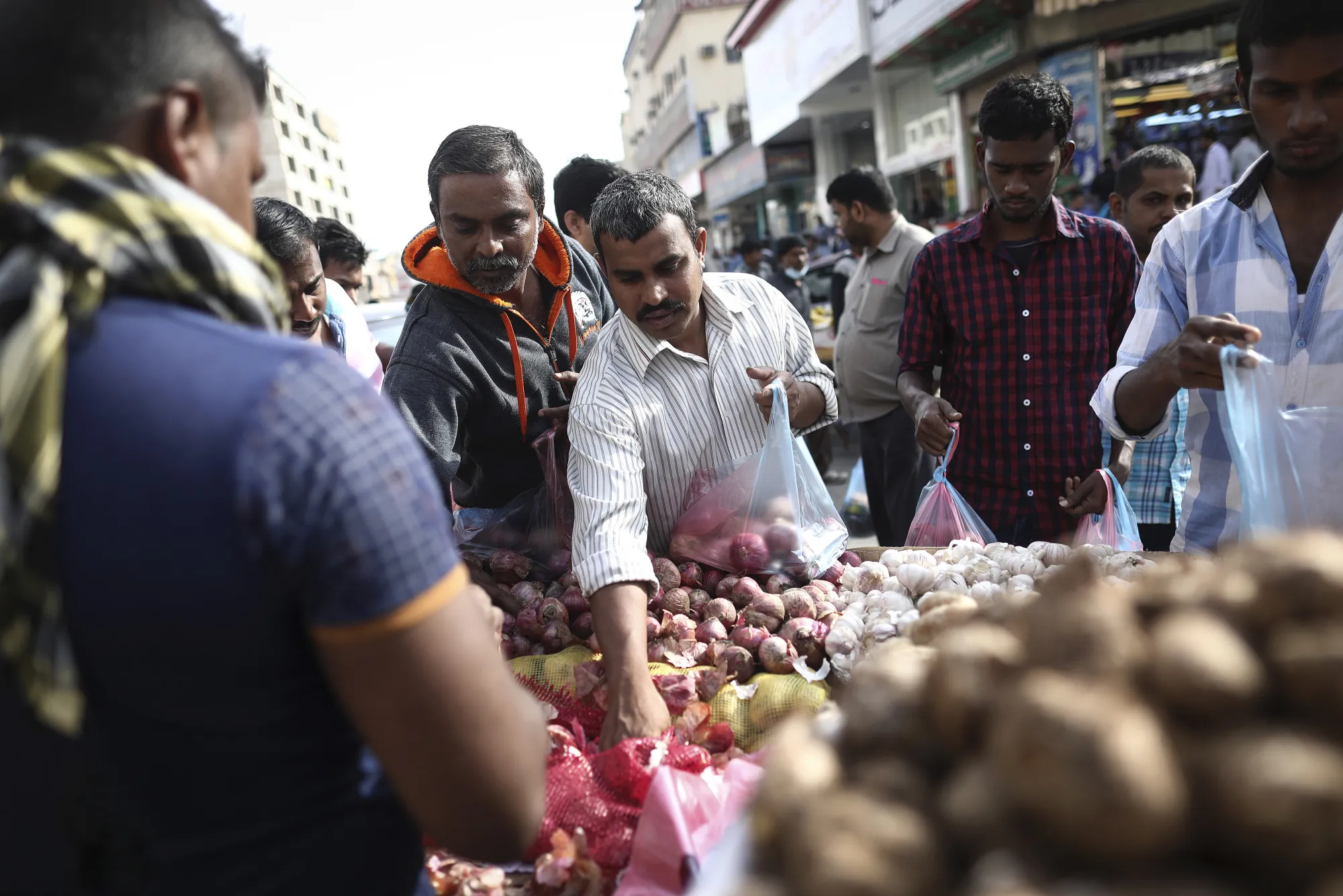 Saudi Arabia Berry-Growing Among Investments for Egypt Private Equity  Morpho - Bloomberg