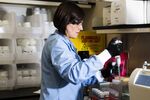 A researcher in a Moderna lab.