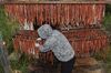 Strips of rust-colored salmon hang like thick shoelaces in front of a wooden structure in two stacked rows of five long branches. There is a person wearing a gray and white hooded jacket with a flower pattern and white gloves arranging the strips. A few have fallen on the ground and look like worms.