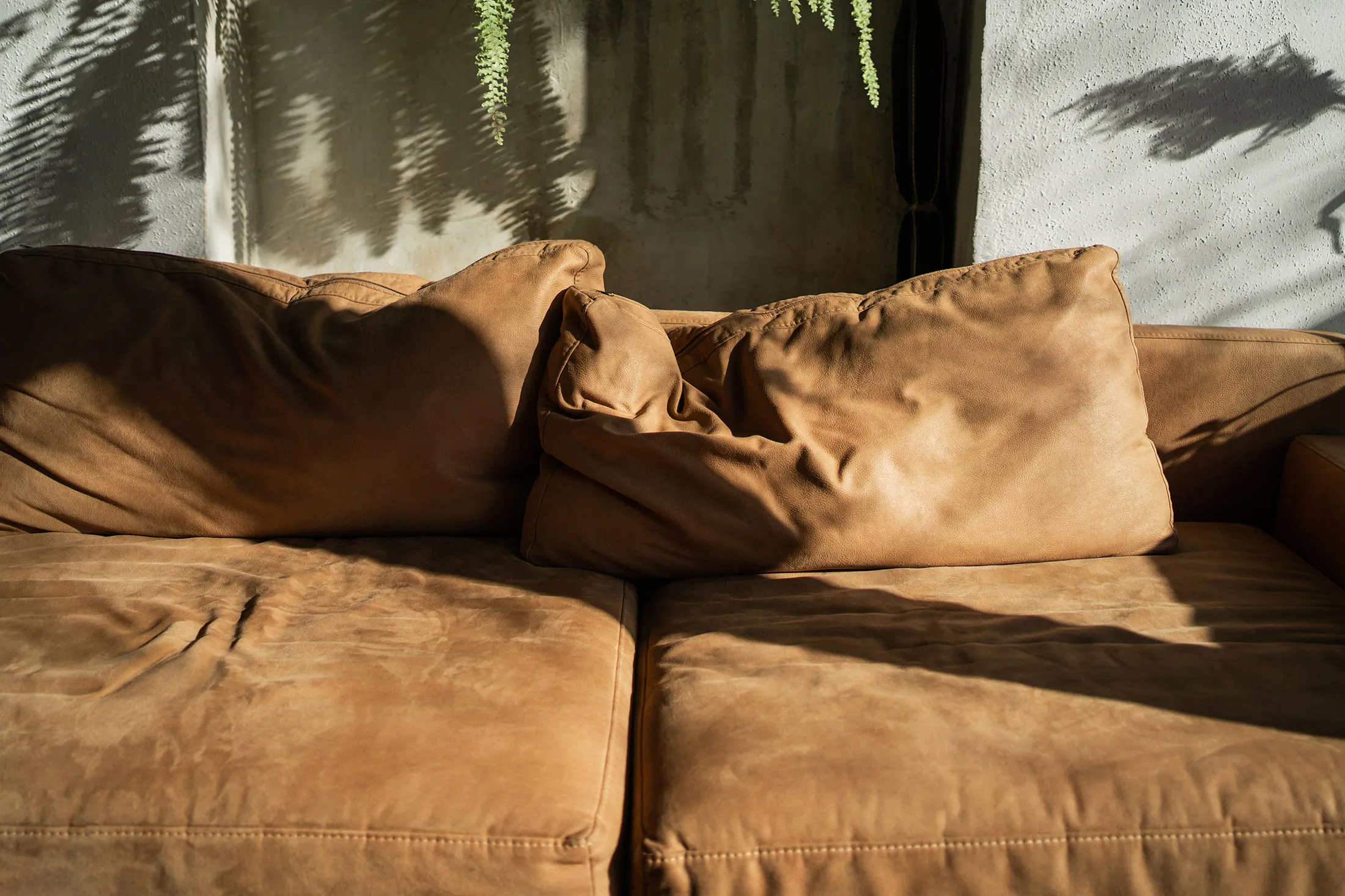 This leather model looks cozy.