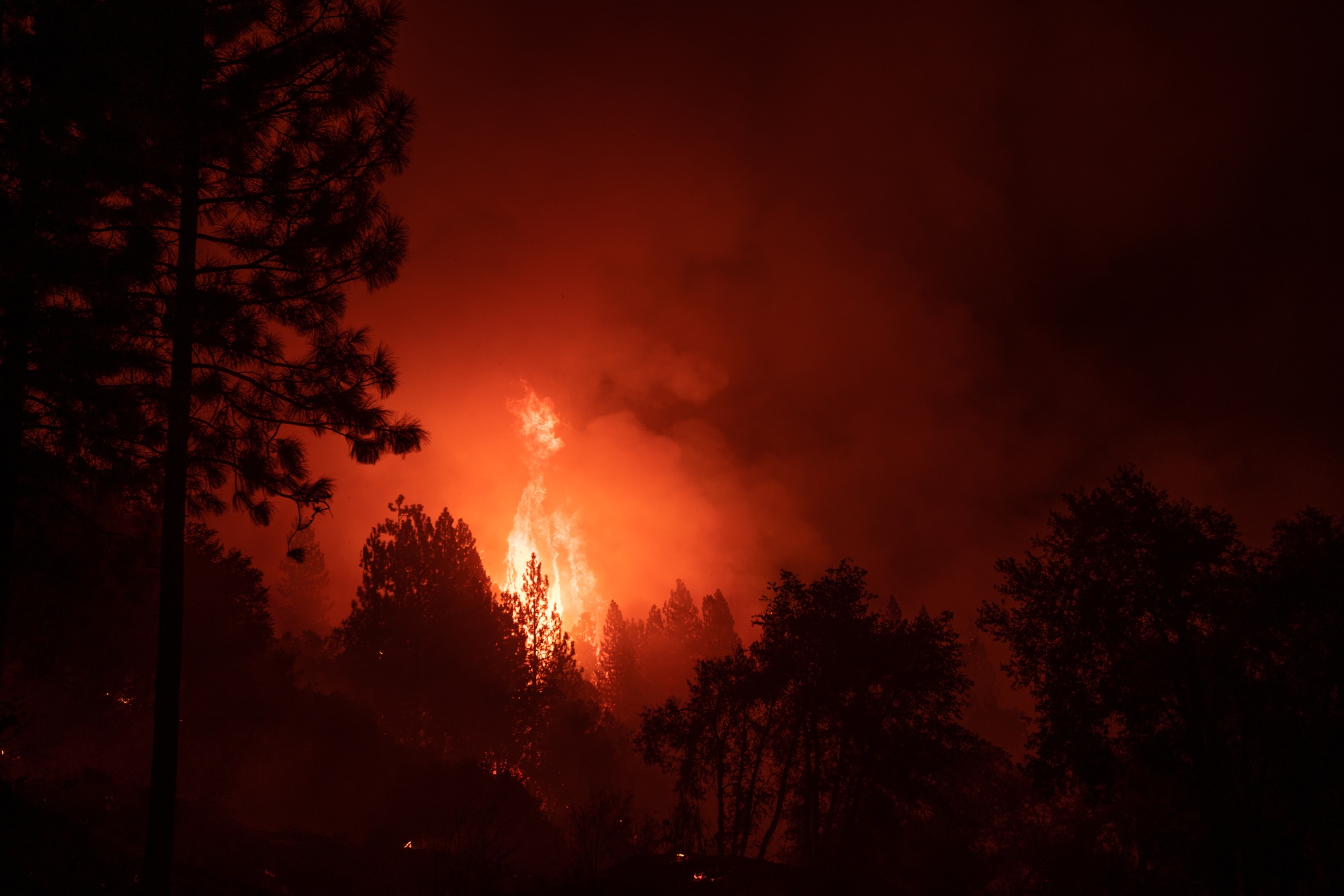 A forest burns during the Mosquito Fire near Foresthill, California, on Sept. 7, 2022.&nbsp;