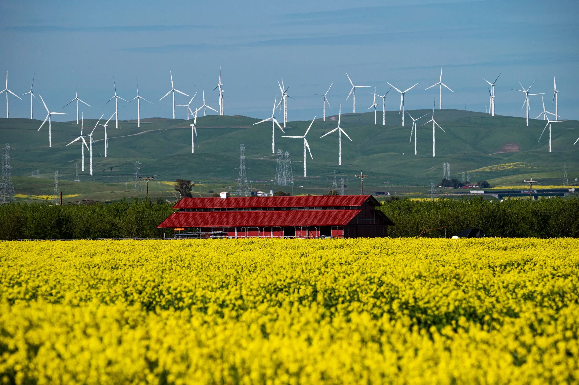 Corporate issuance of ESG-linked bonds this year through Dec. 6 — at $27.2 billion — is already the least since 2019.
