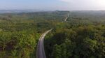 A road cuts through palm plantations and rainforest&nbsp;over the Penajam area of East Kalimantan, Borneo, Indonesia.